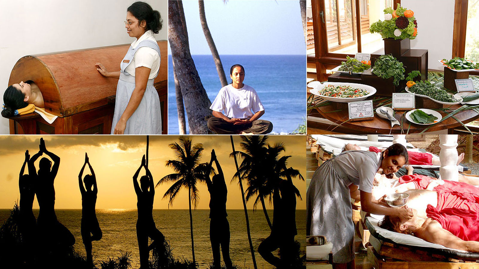 Barberyn Ayurveda Resorts