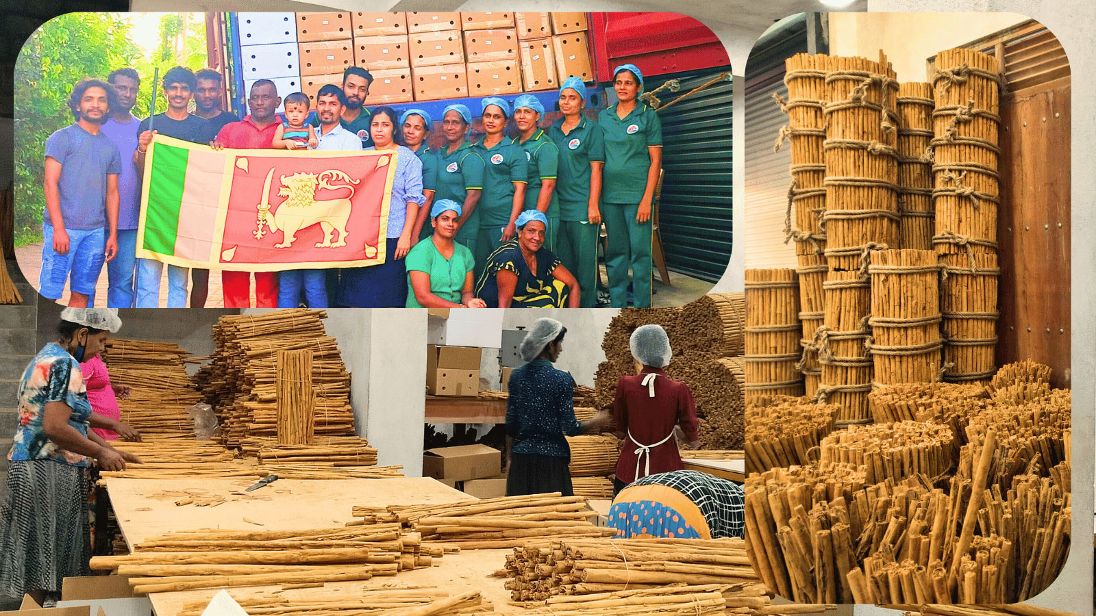 ROSHAN CINNAMON EXPORTERS PVT LTD