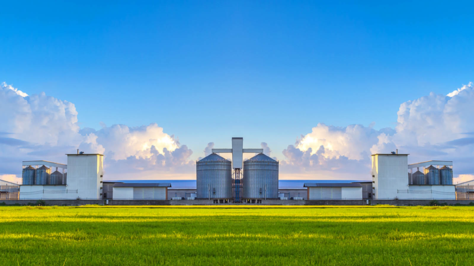 FARMCHEMIE PVT LTD