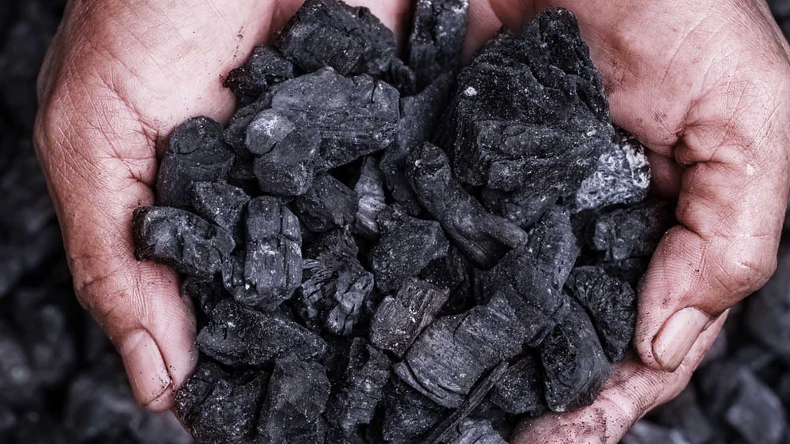 Coking coal and steam coal фото 105