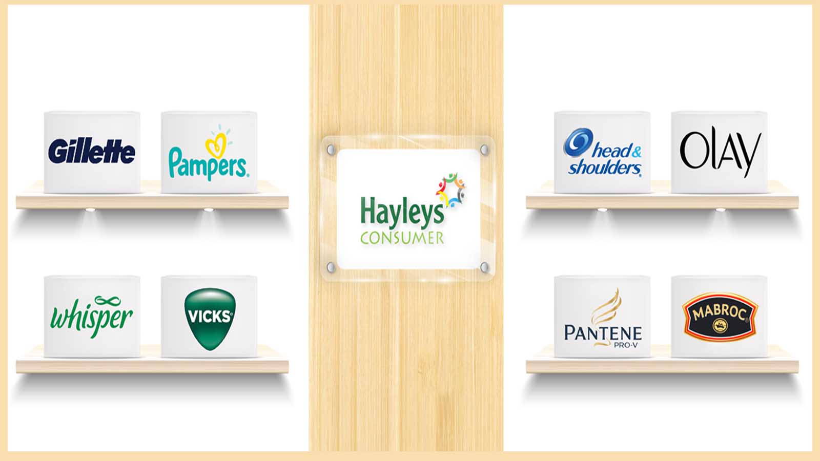 HAYLEYS CONSUMER PRODUCTS LTD