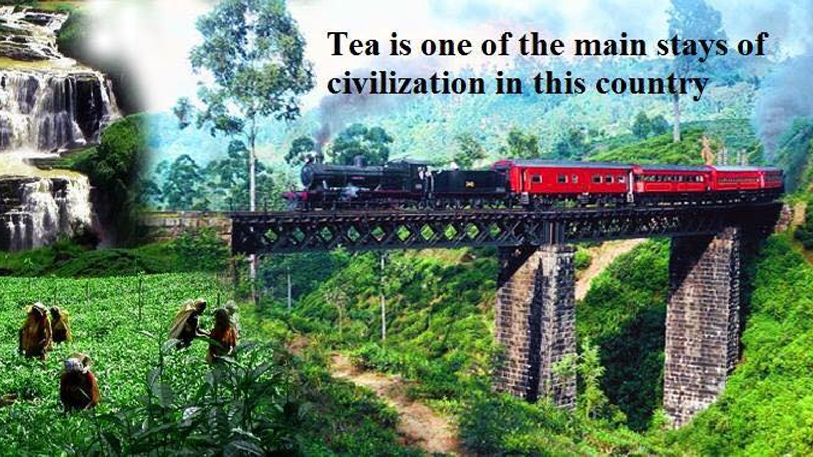 MINAH TEA EXPORTS PVT LTD