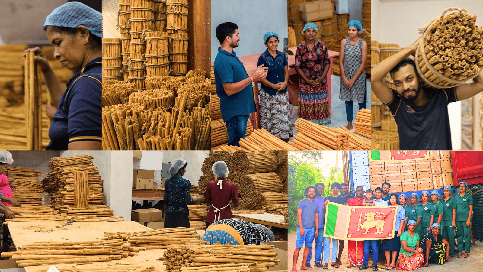 ROSHAN CINNAMON EXPORTERS PVT LTD