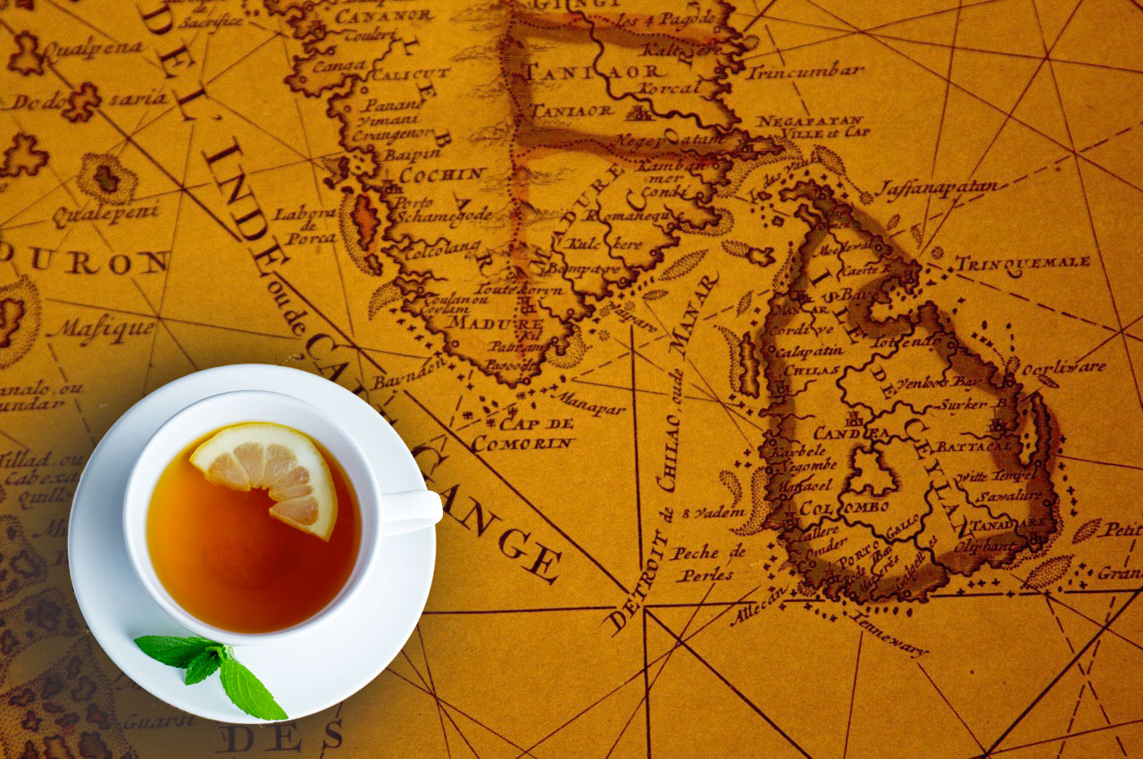 CEYLON TEA PLANTATION EXPORTS PVT LTD EDB Sri Lanka