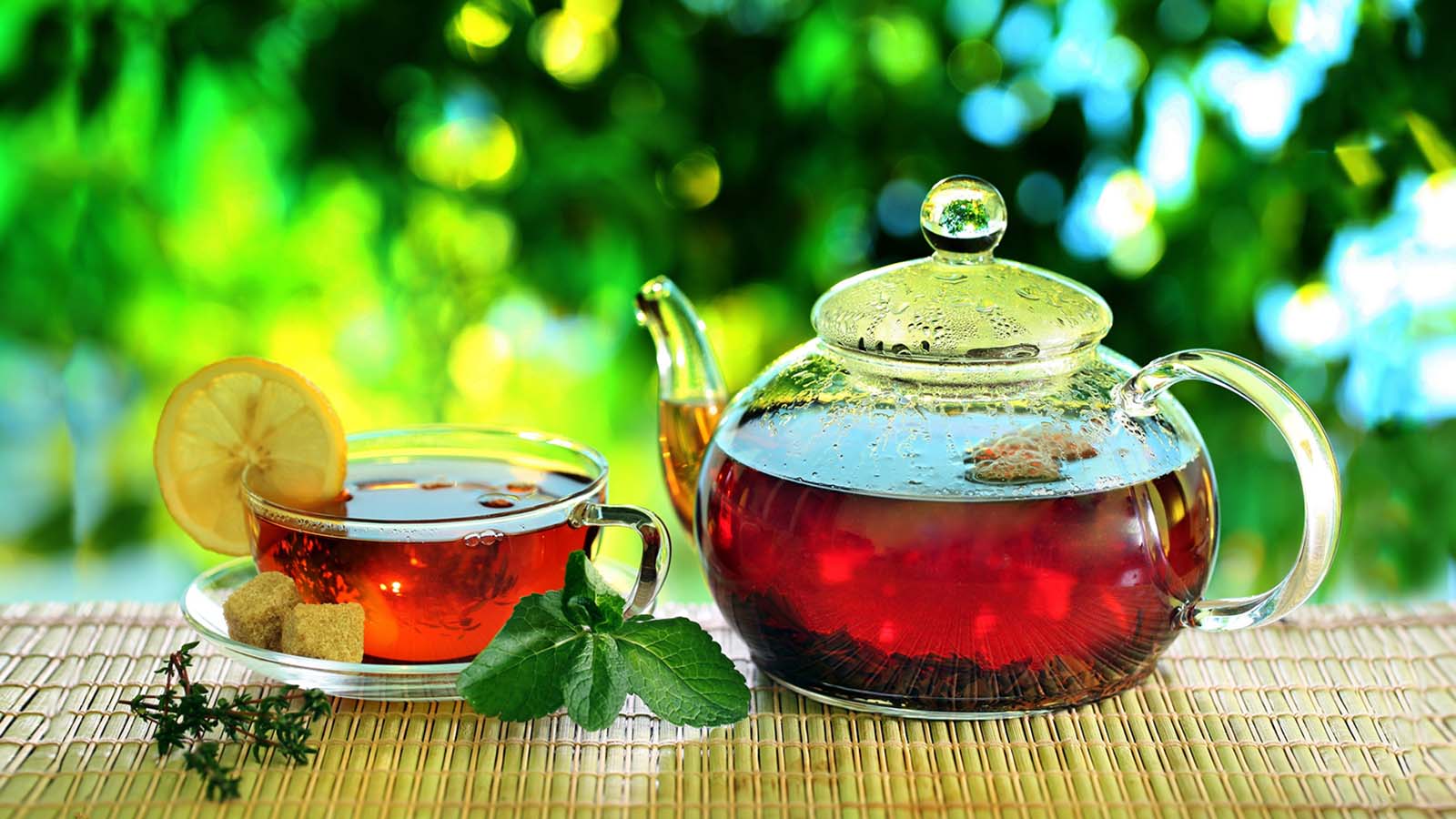 VIVO TEA COMPANY CEYLON PVT LTD