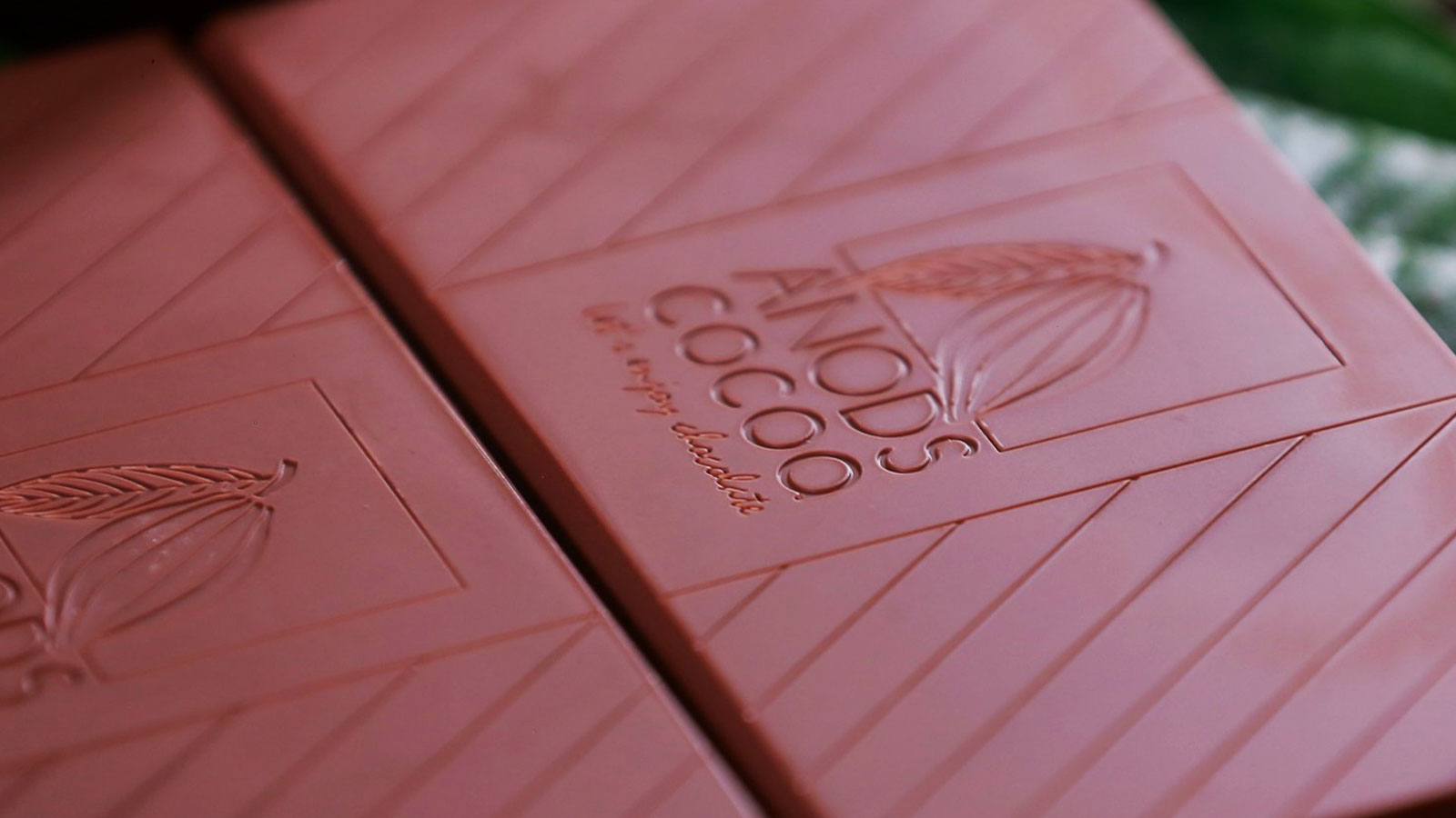 Cocoa casino Cocoa casino