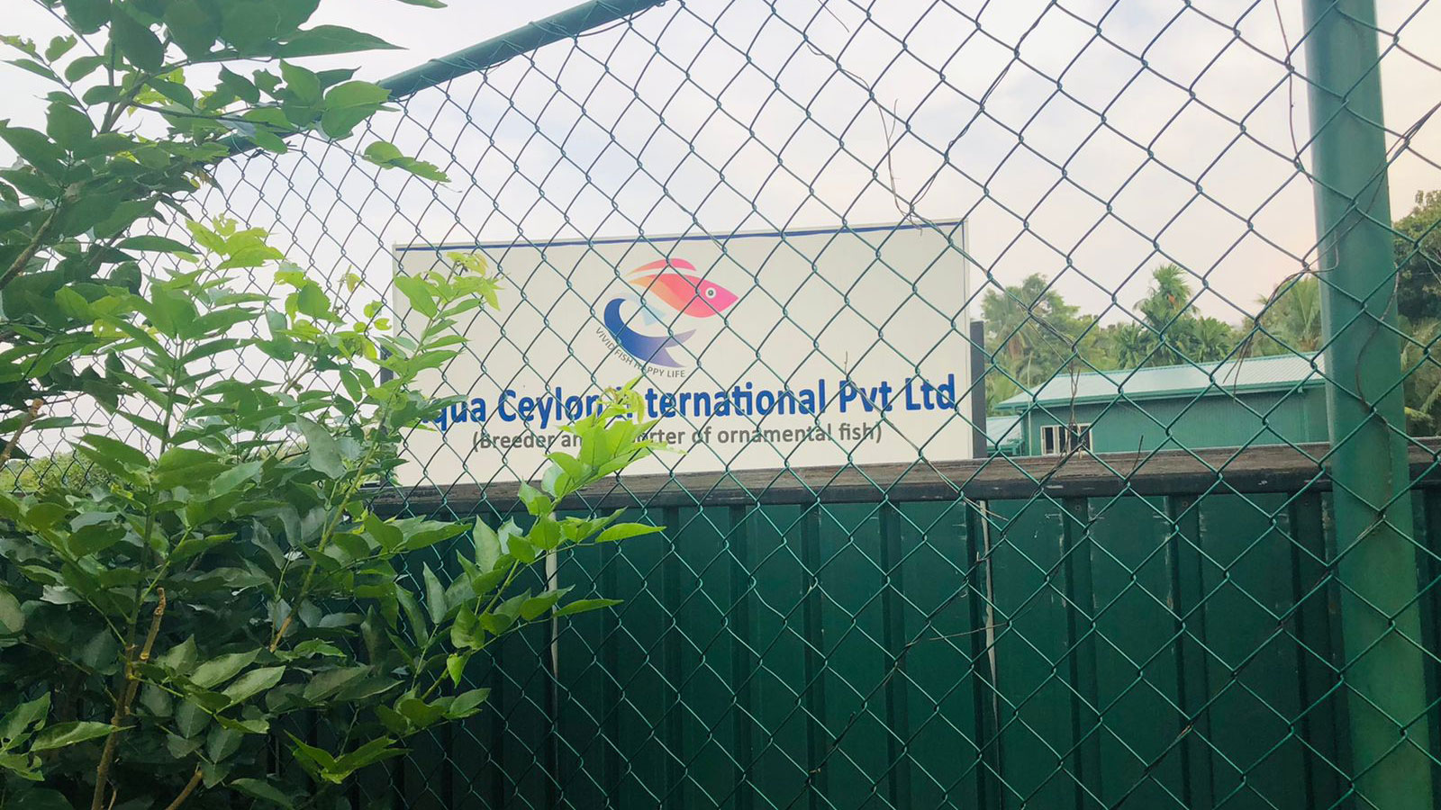 AQUA CEYLON INTERNATIONAL PVT LTD