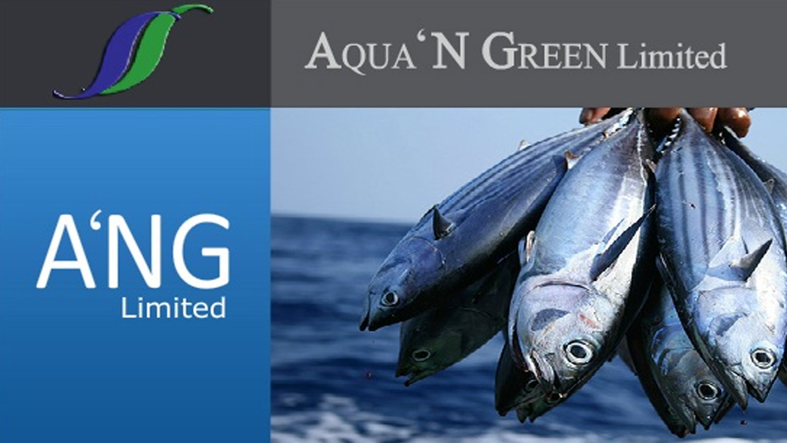 AQUA N GREEN LTD