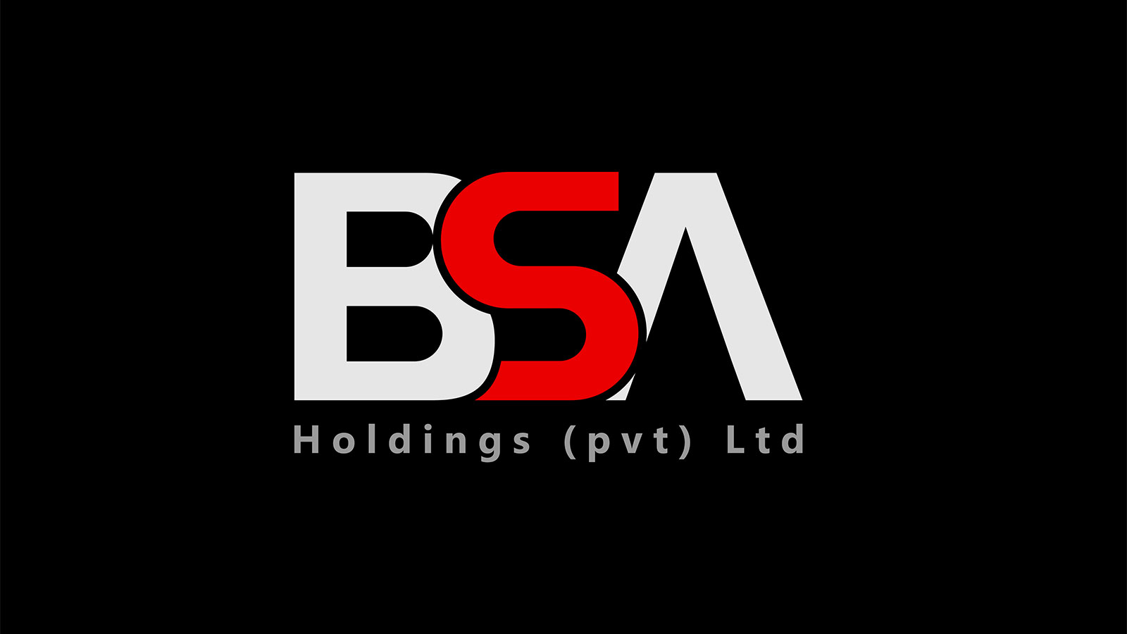 BSA HOLDINGS PVT LTD