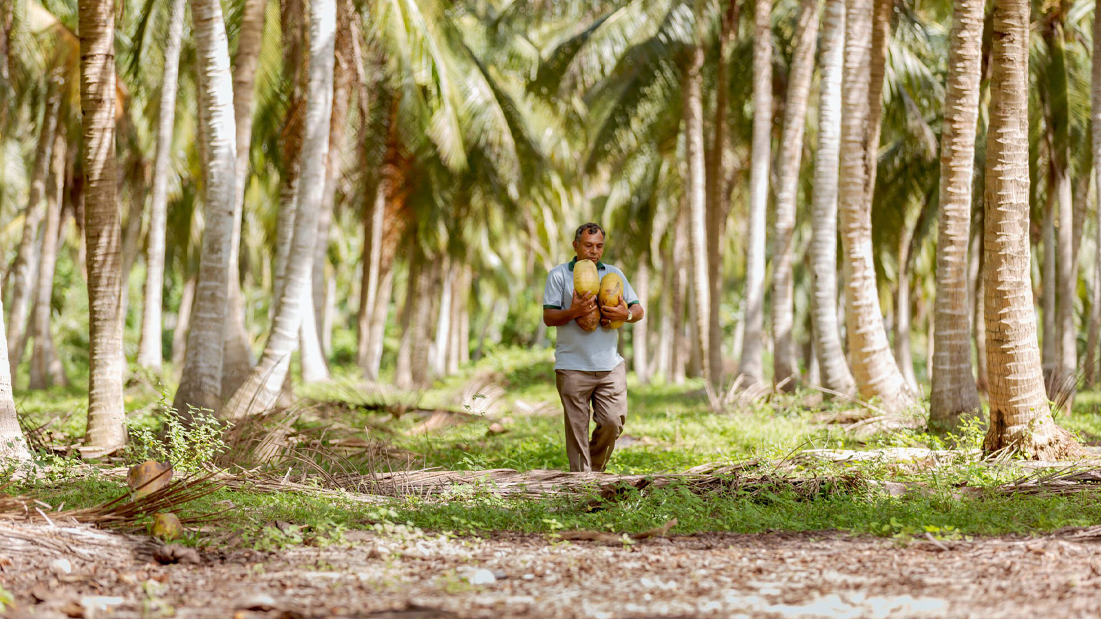CEYLON COCO INFRESH PVT LTD