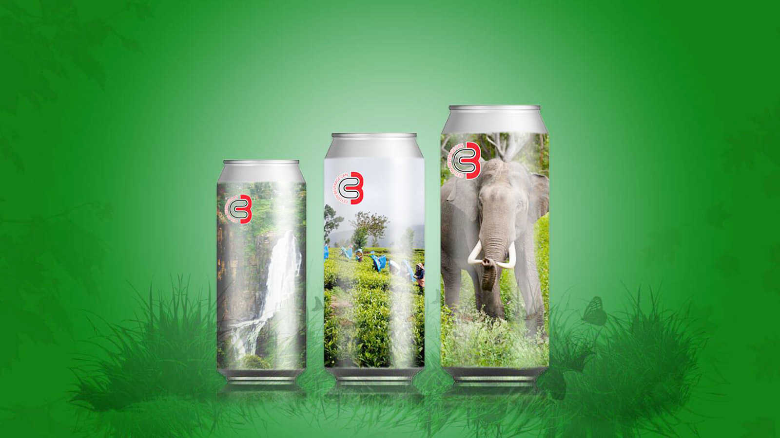 CEYLON BEVERAGE CAN PVT LTD