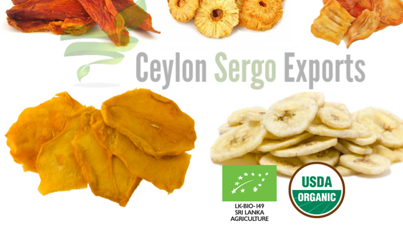 CEYLON SERGO EXPORTS PVT LTD