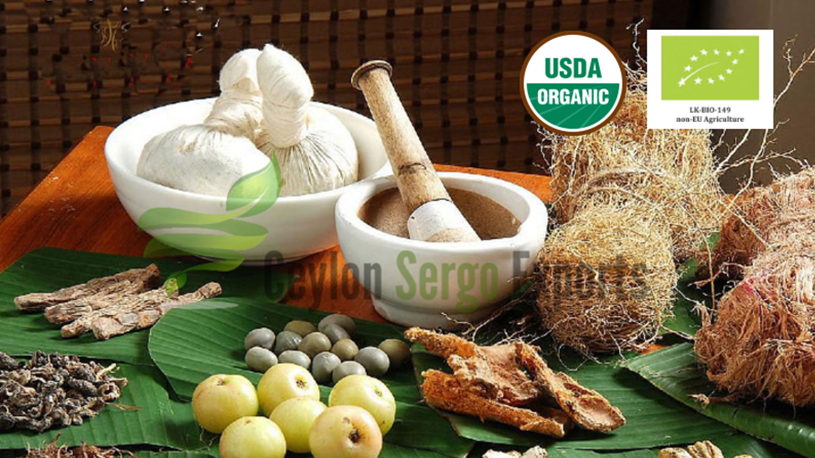 CEYLON SERGO EXPORTS PVT LTD