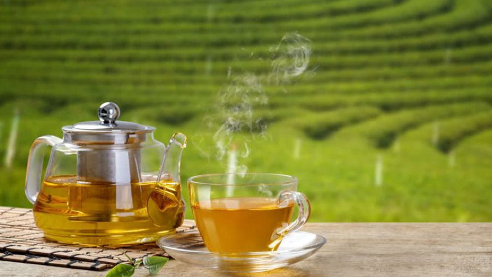ALPHABET TEA COMPANY PVT LTD