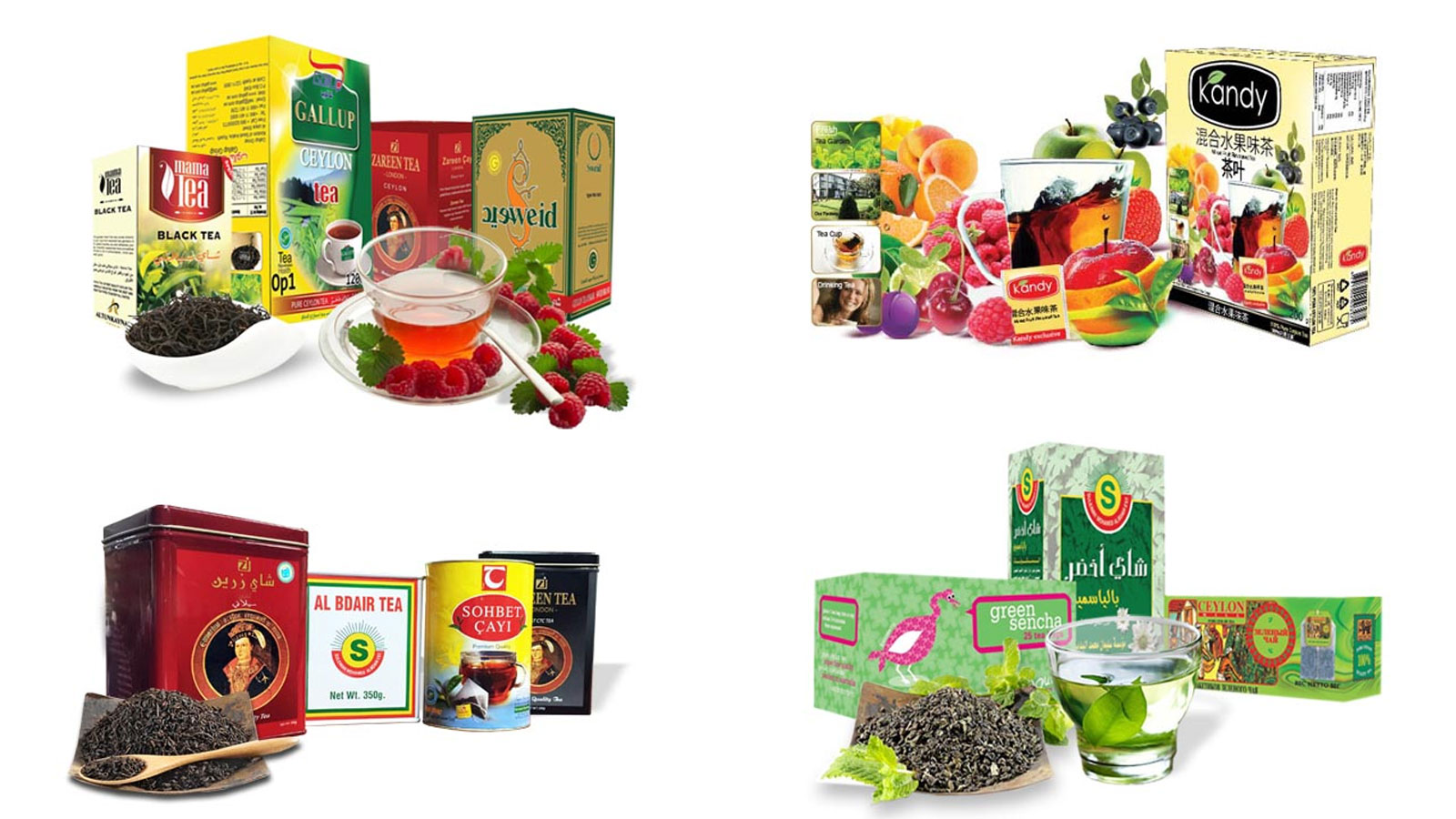 CEYLON TEA MARKETING PVT LTD