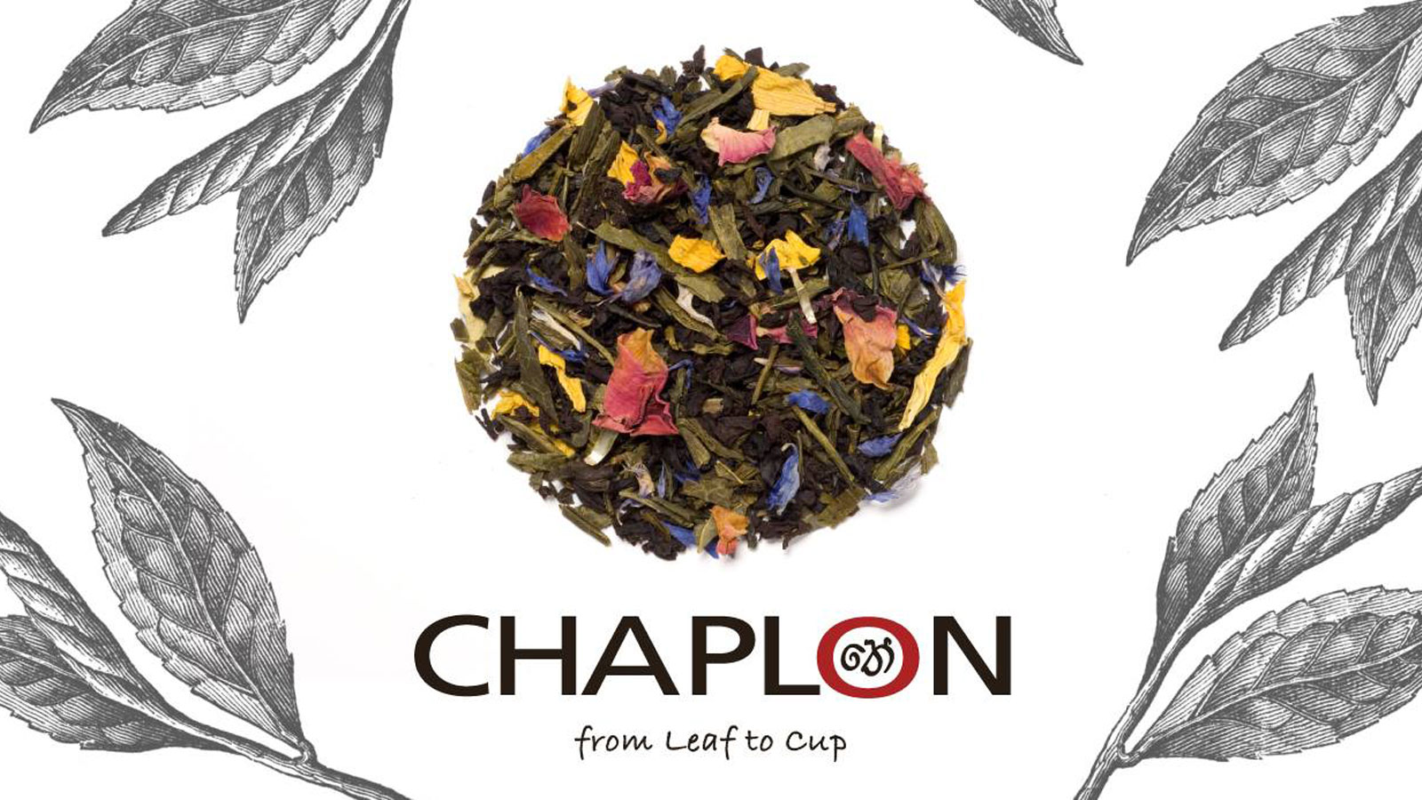 CHAPLON TEA PVT LTD