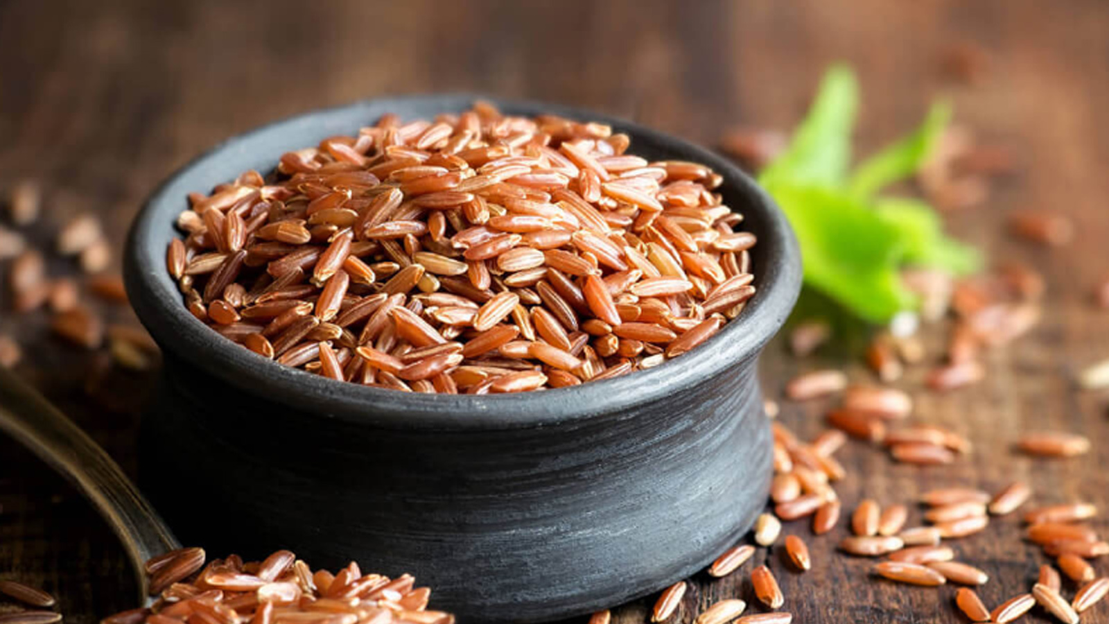 CIC SEEDS PVT LTD