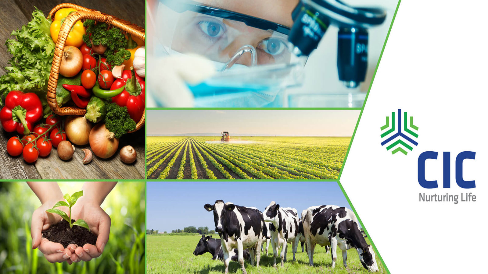CIC SEEDS PVT LTD