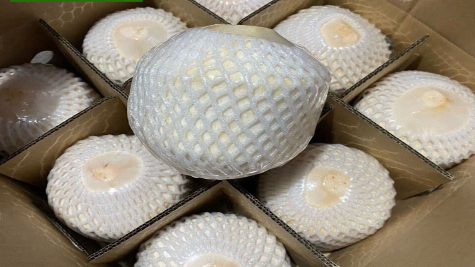 CEYLON NATURES AGRI ORGANIC PRODUCTS PVT LTD