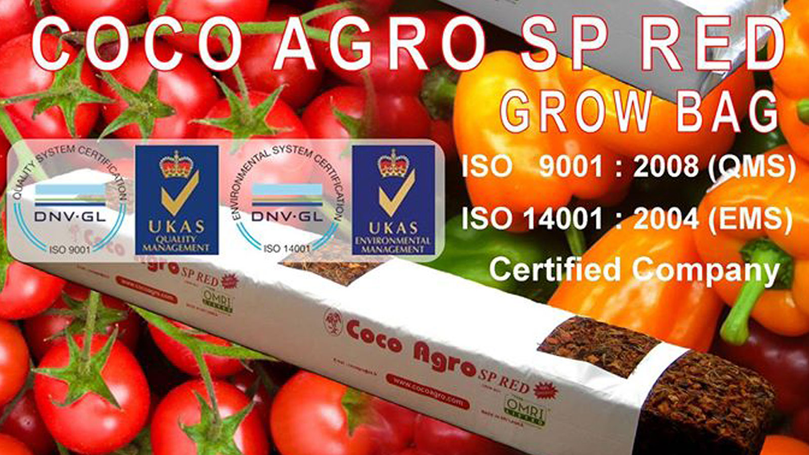 COCO AGRO PVT LTD