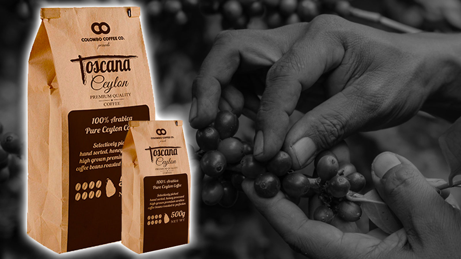 COLOMBO COFFEE COMPANY PVT LTD