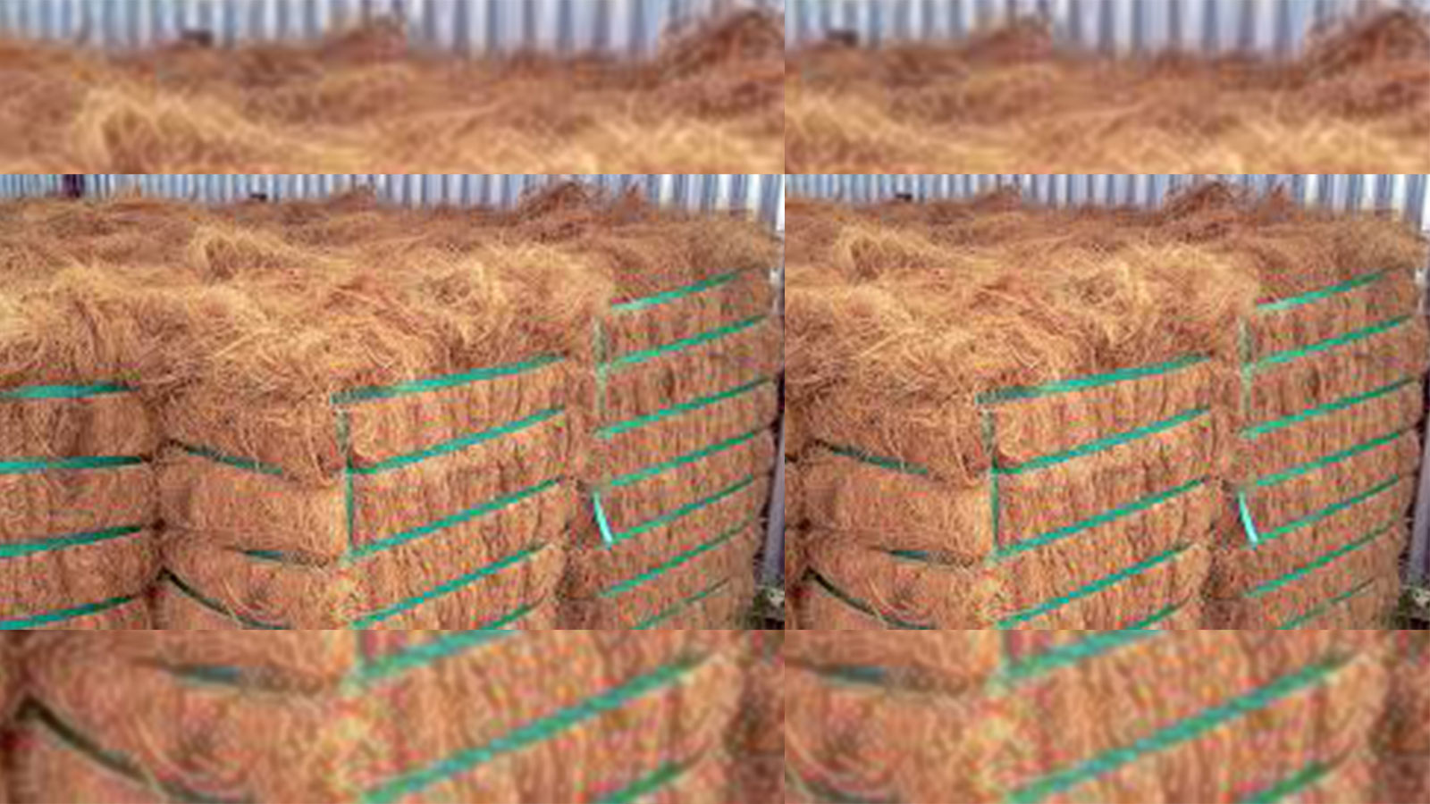 COLOMBO COIR EXPORTERS PVT LTD