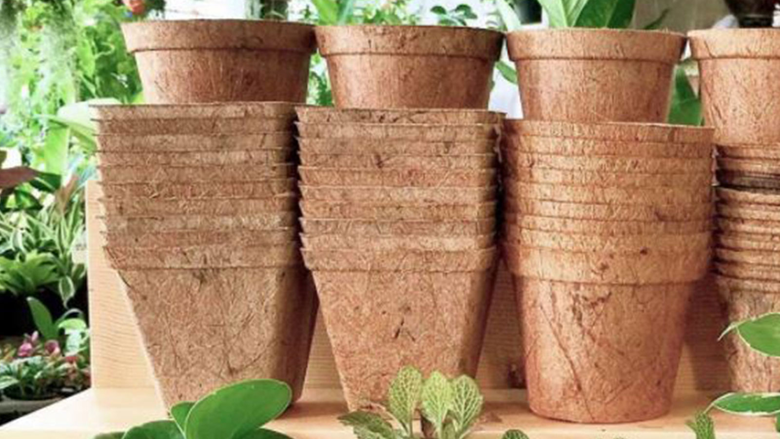 COLOMBO COIR EXPORTERS PVT LTD