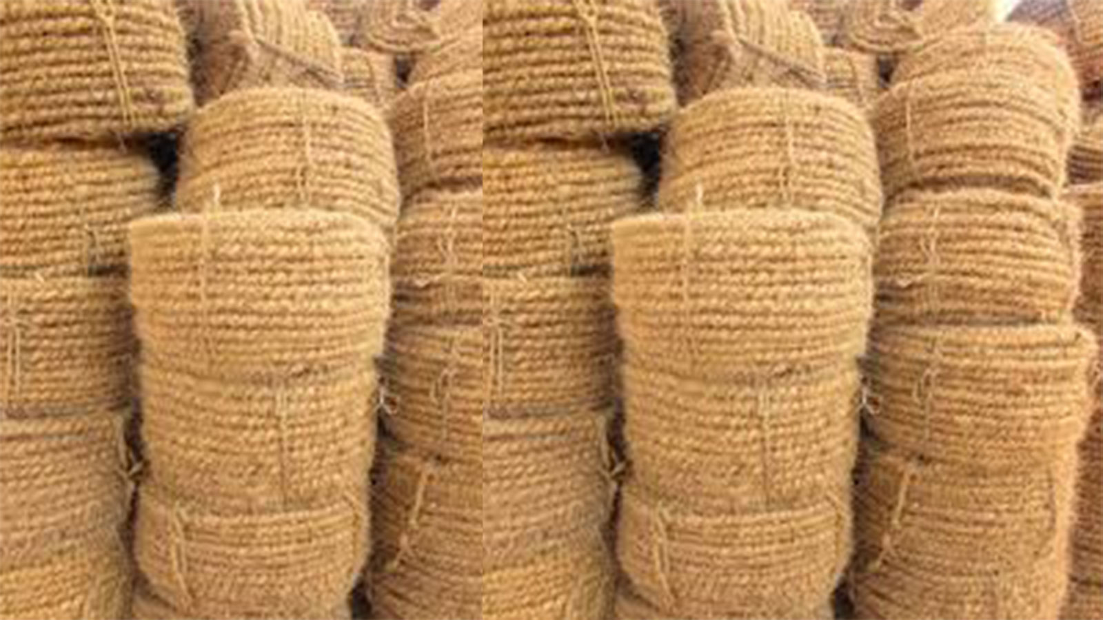 COLOMBO COIR EXPORTERS PVT LTD