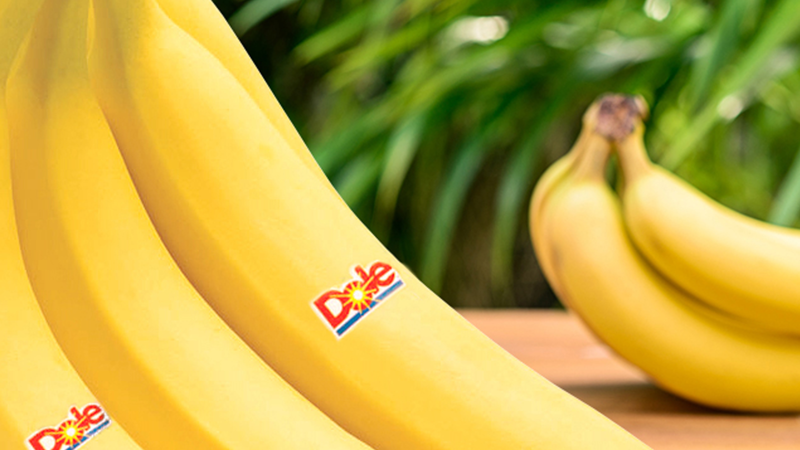 DOLE LANKA PVT LTD