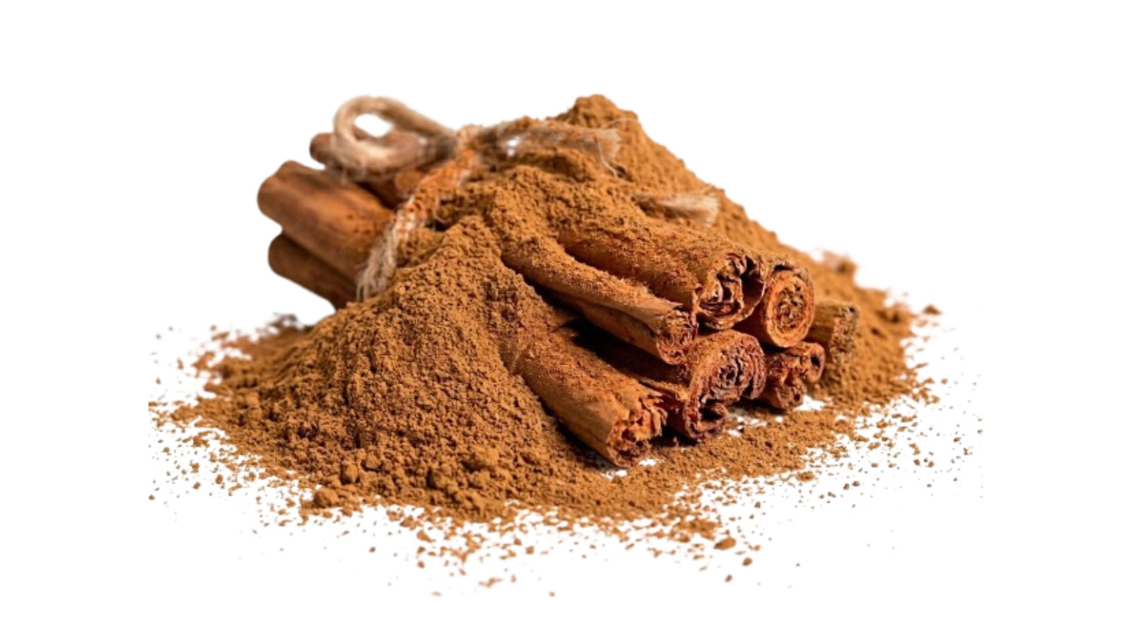 THE CEYLON SPICE HAVEN PVT LTD