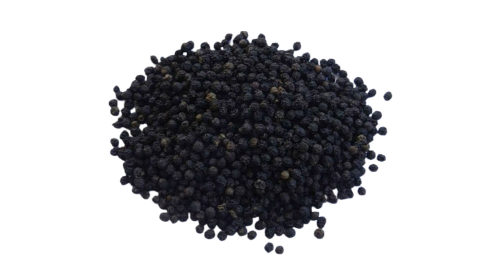 THE CEYLON SPICE HAVEN PVT LTD