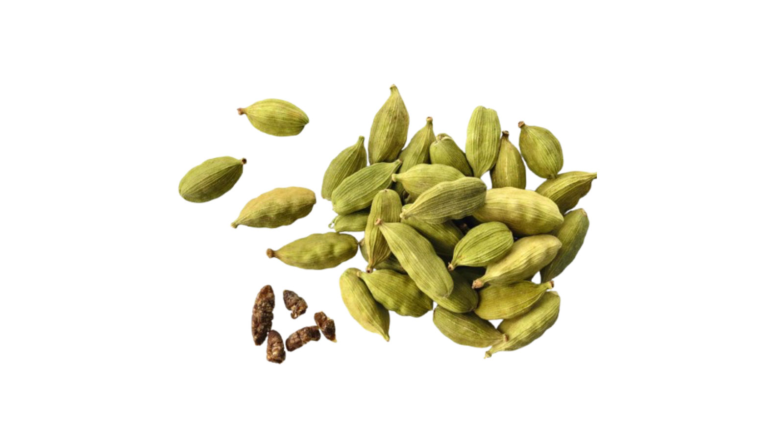 THE CEYLON SPICE HAVEN PVT LTD