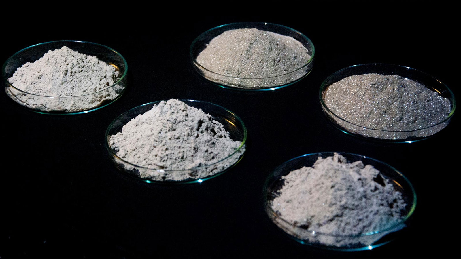 DAMSILA EXPORTS PVT LTD