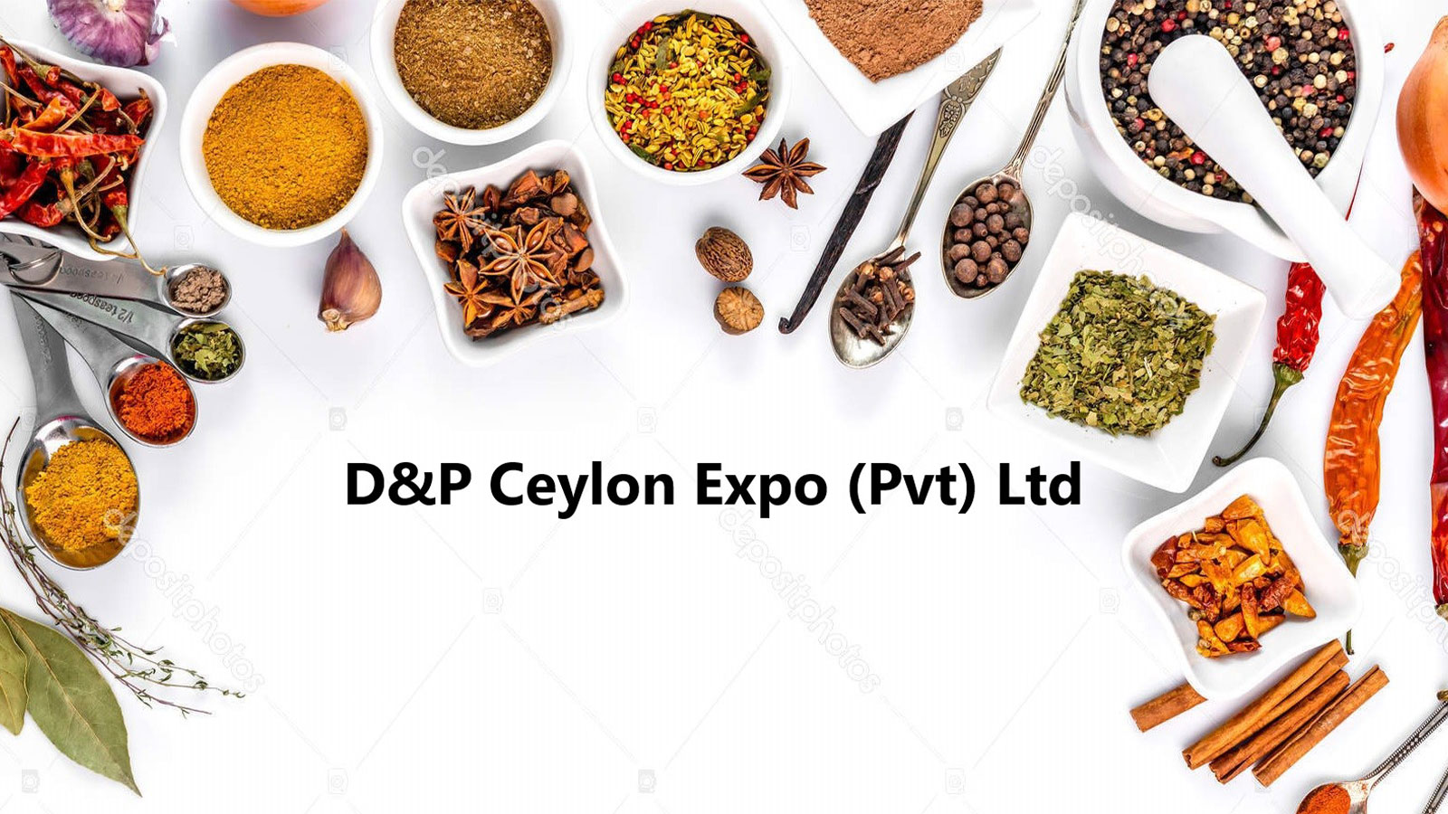 D & P CEYLON EXPO PVT LTD