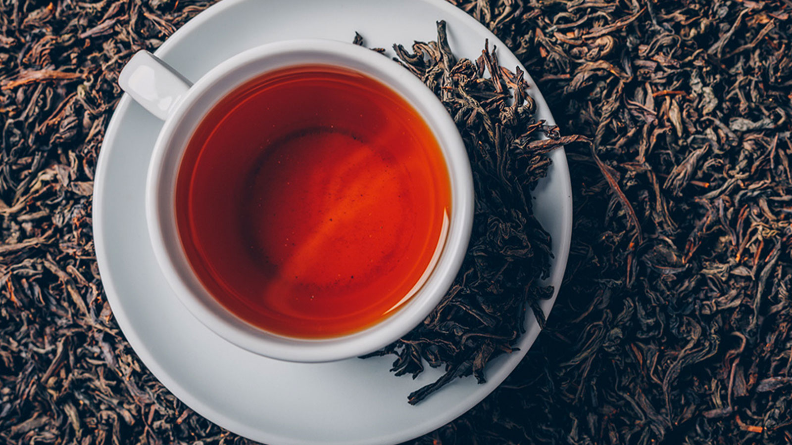 ETHICAL EXTRACTS PVT LTD