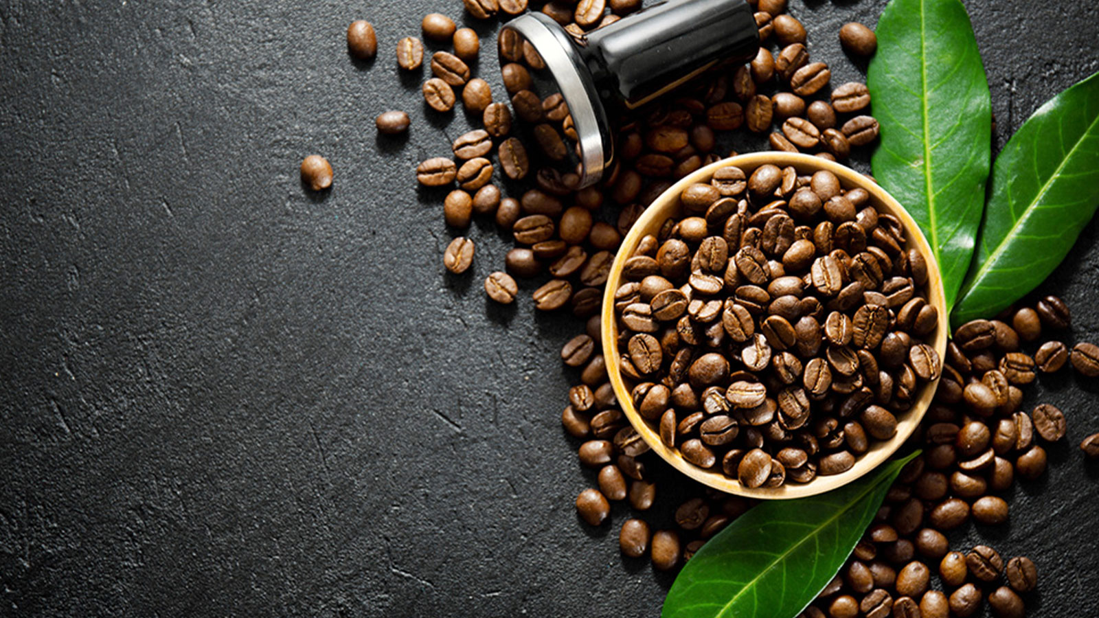 ETHICAL EXTRACTS PVT LTD