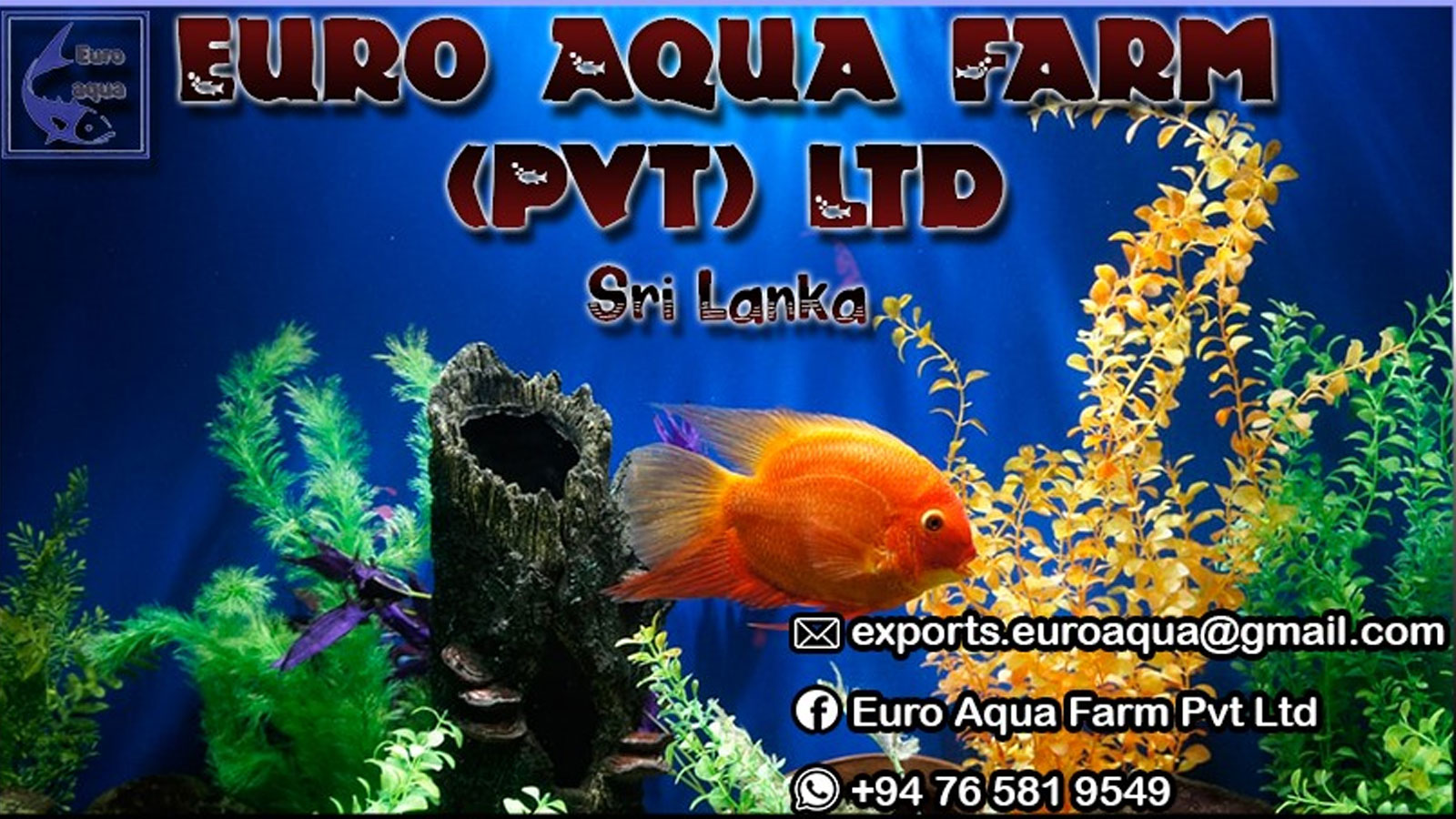 EURO AQUVA FARM