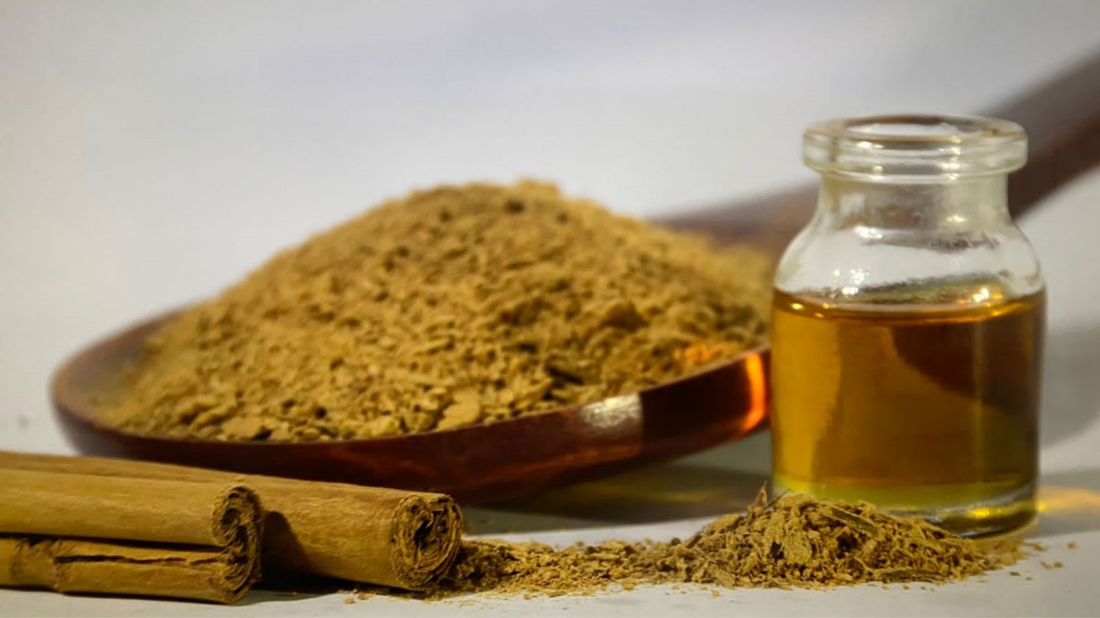 EXCELLENSA IMPEX PVT LTD