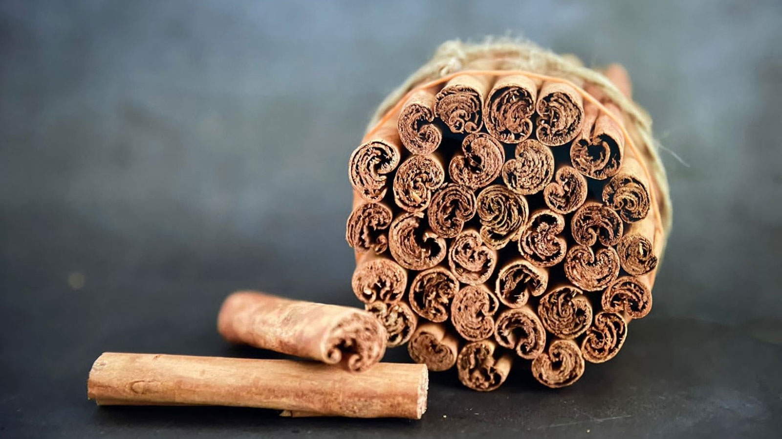 EXCELLENSA IMPEX PVT LTD