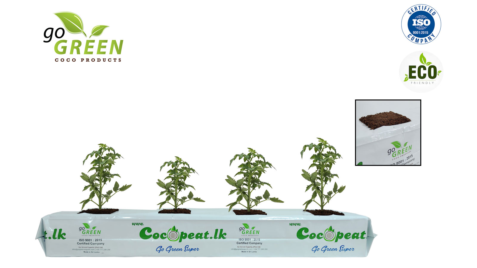 GO GREEN EXPORTS PVT LTD