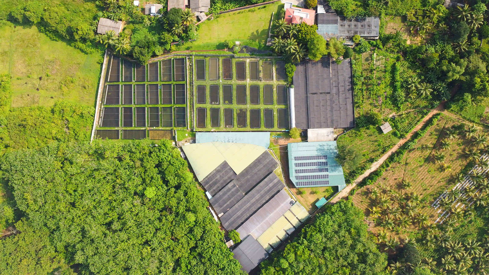 HARITHA FISH FARM