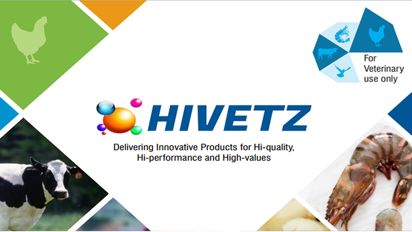 HIVETZ NUTRI PVT LTD