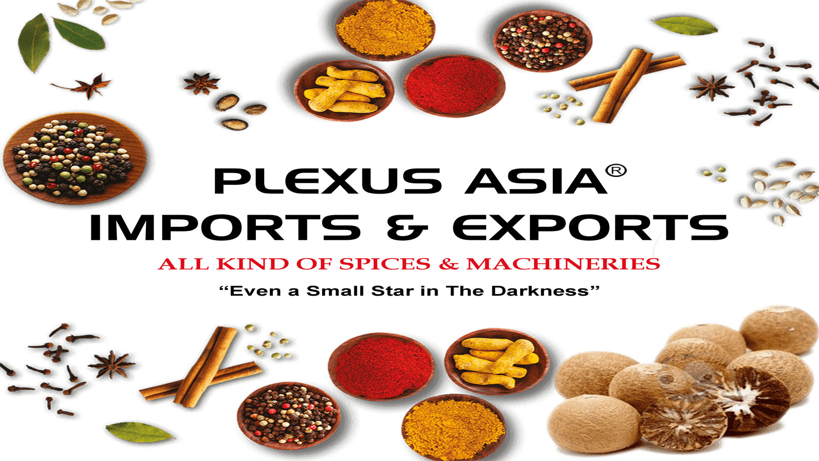 PLEXUS ASIA IMPORTS & EXPORTS