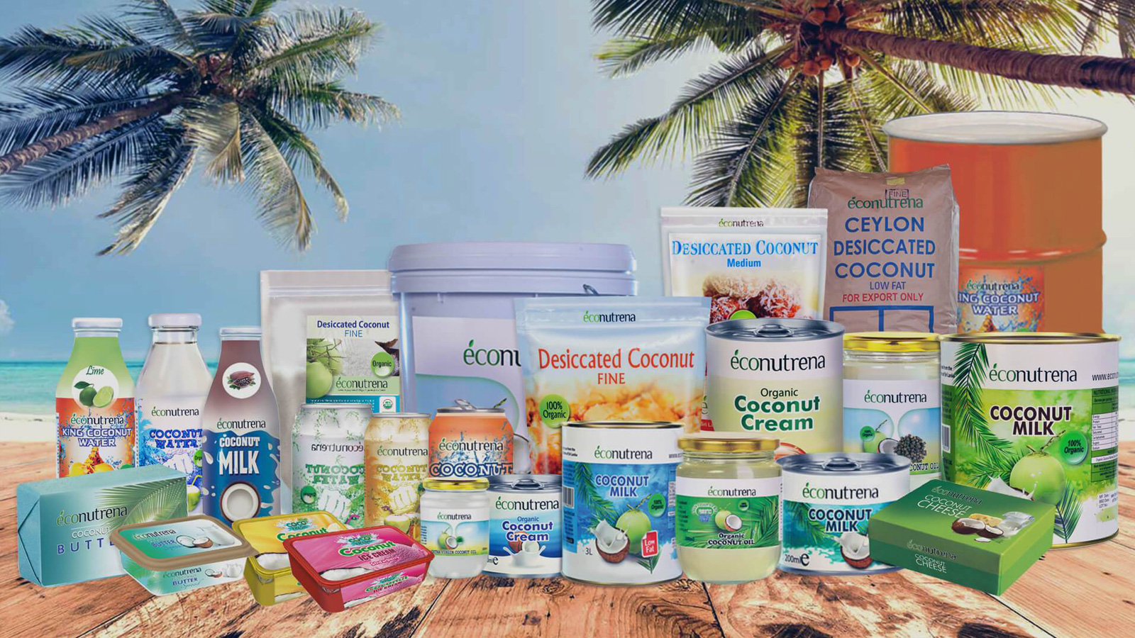 JAINDI EXPORT PVT LTD