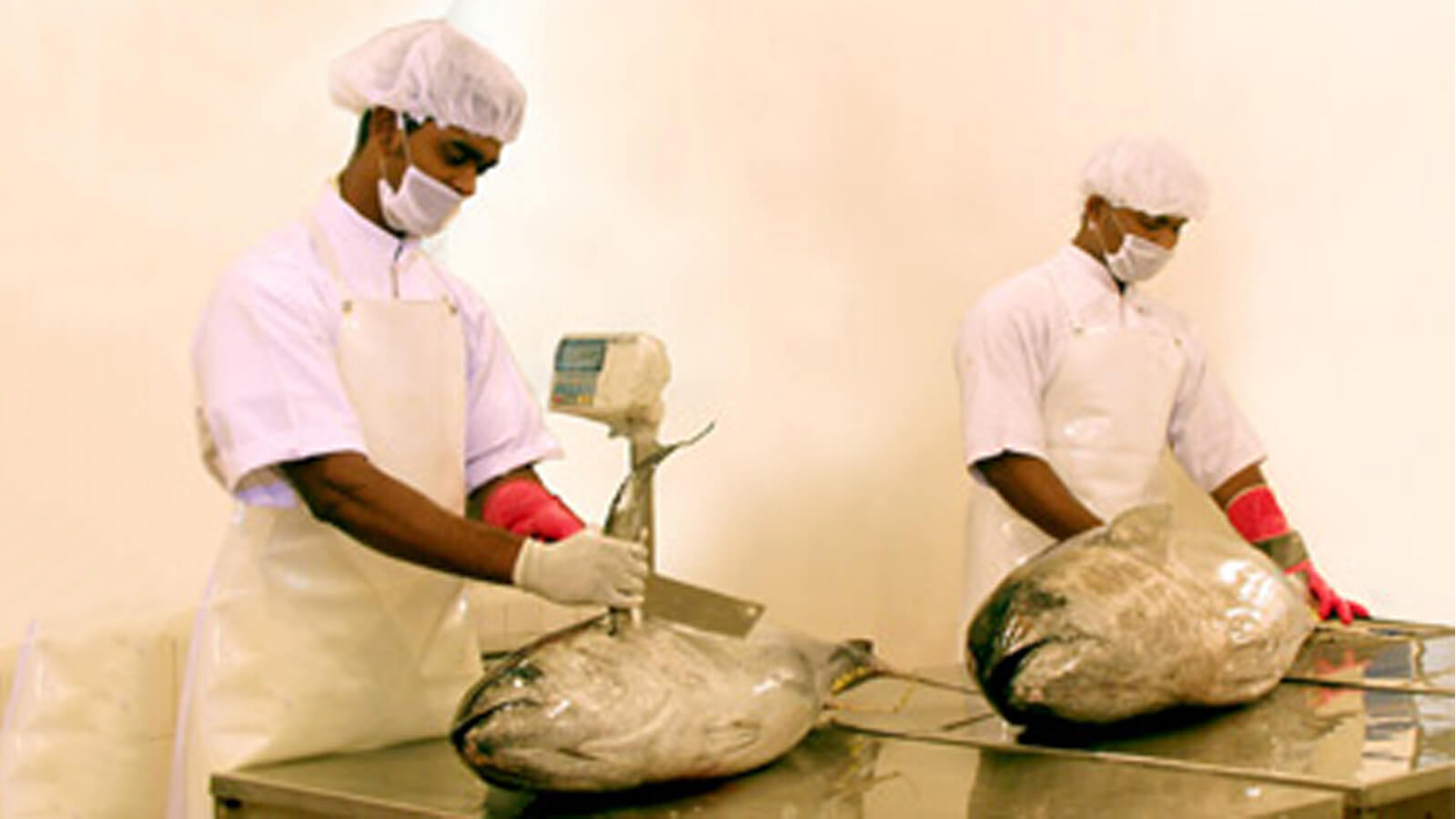 JAY SEA FOODS PROCESSING PVT LTD