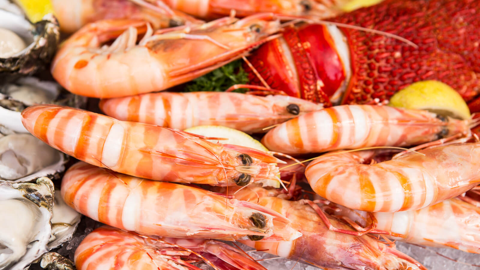 Высокобелковые морепродукты