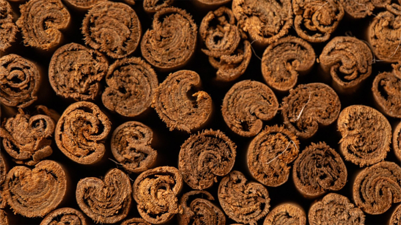 KUMARA CINNAMON EXPORTERS PVT LTD