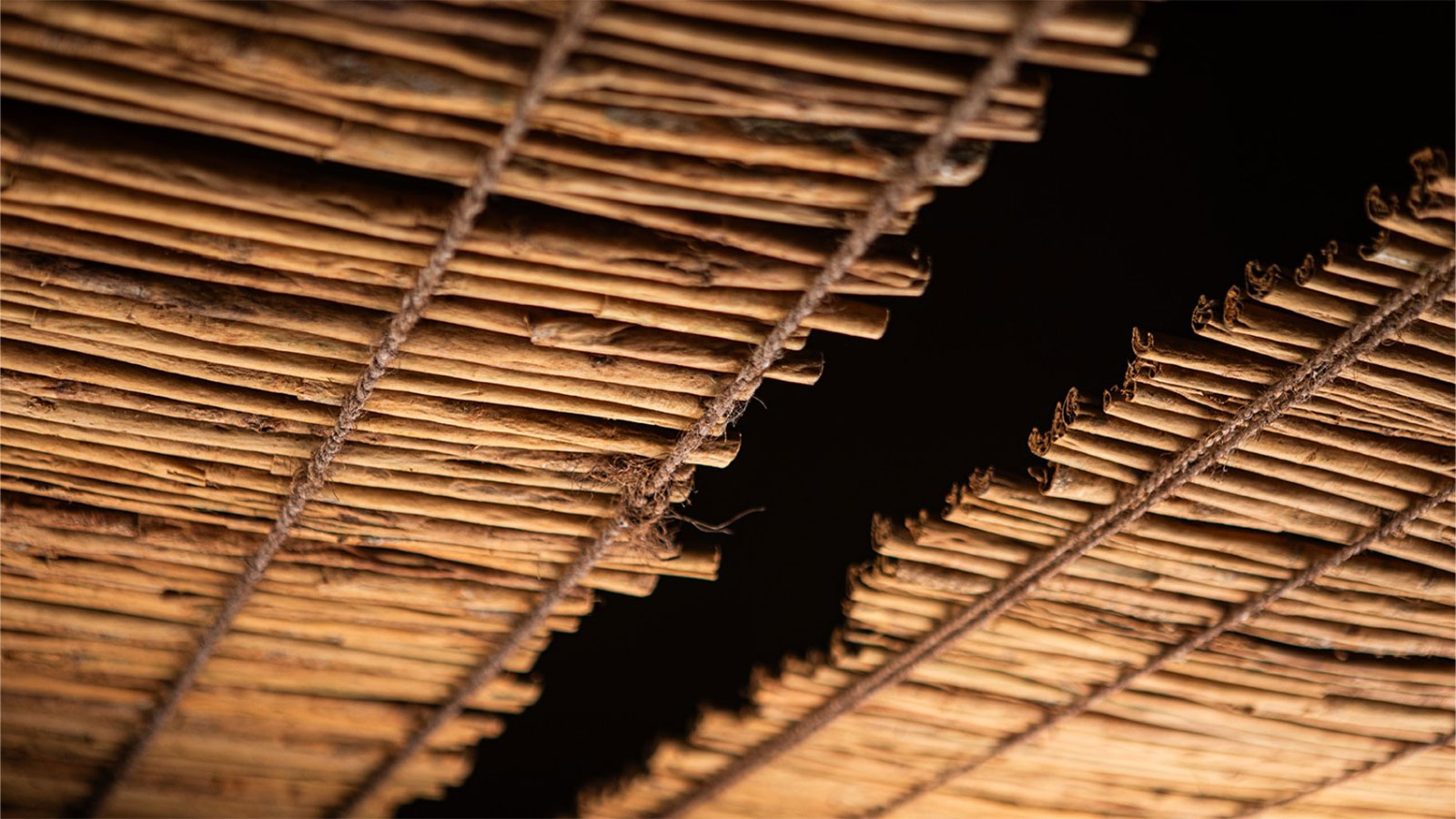 KUMARA CINNAMON EXPORTERS PVT LTD