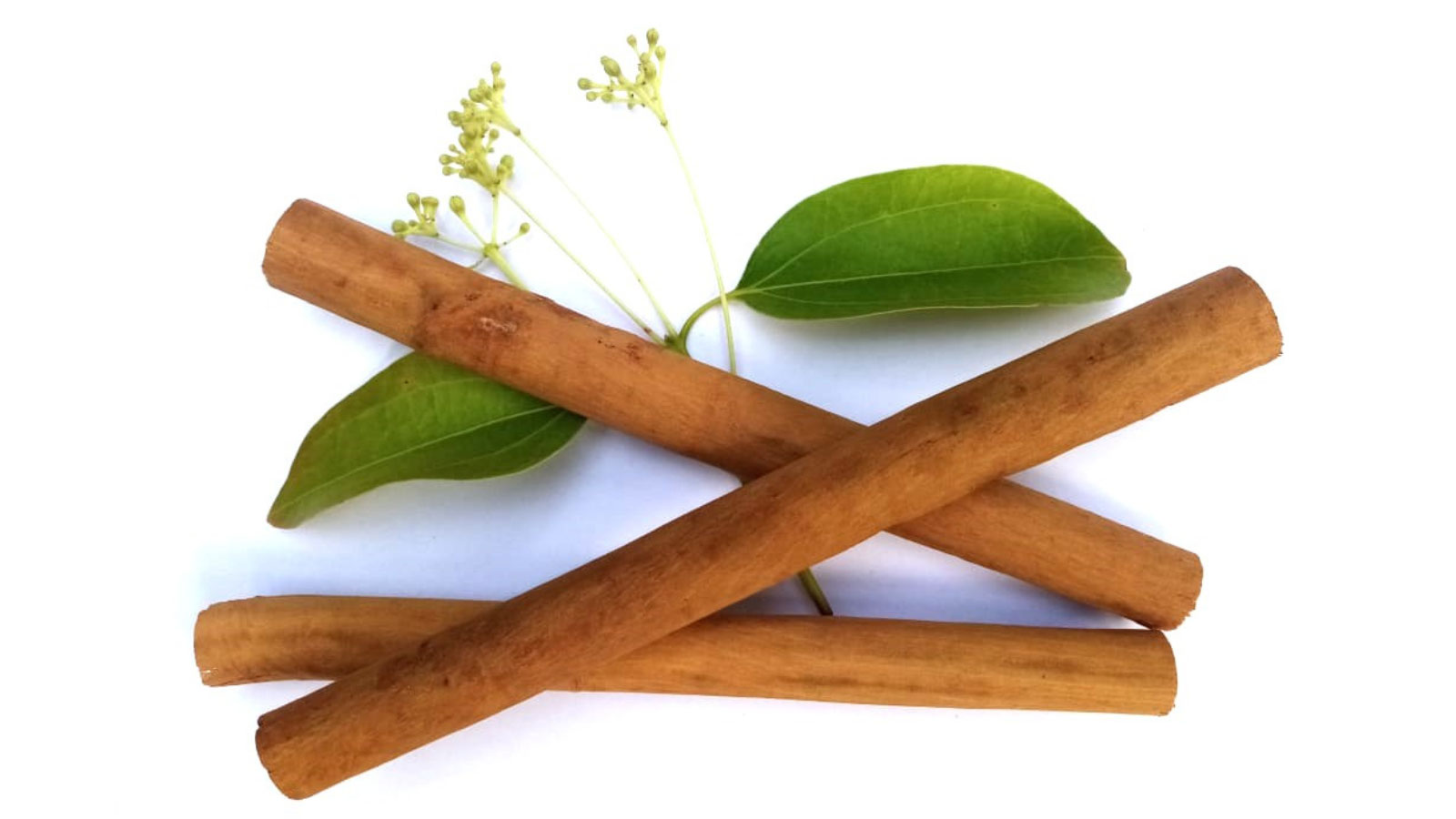 KEYCIN CINNAMON EXPORT