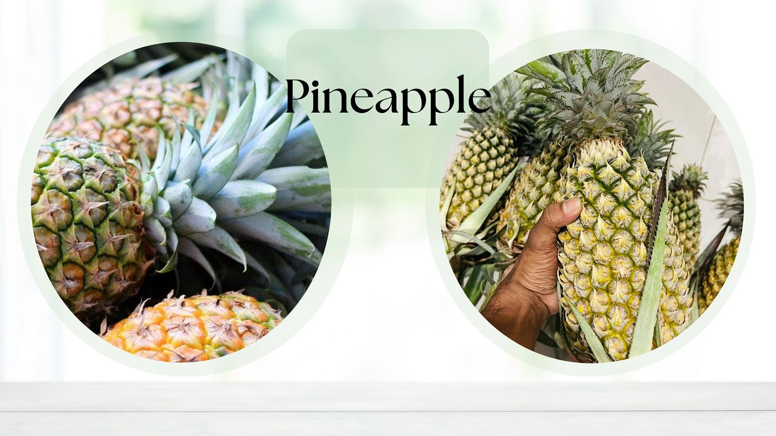 KING SUPPLIERS & CO PVT LTD